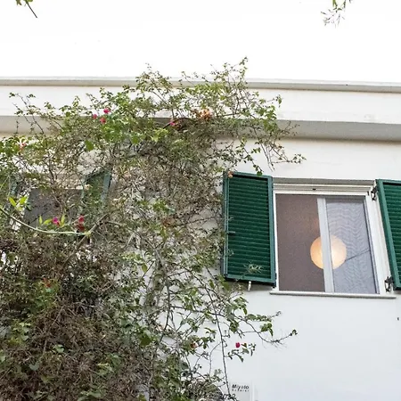 Platyforos, In Of Apartment Zakynthos Town